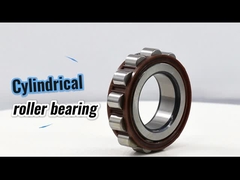 61243YSX Cuscinetto eccentrico a rulli cilindrici a gabbia di nylon Koyo 61243 YSX per cambio 22*58*32 mm