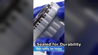 CPM2518 Cuscinetto a rulli cilindrici a doppia corona senza anello esterno | Cuscinetti automobilistici e industriali