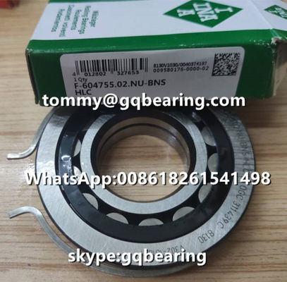comprare Per i cuscinetti a rulli cilindrici per autoveicoli VW AG INA F-604755.02.NU-BNS-HLC Materiale in acciaio fabbricazione online