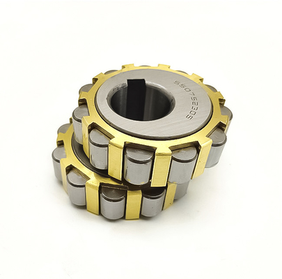 500752307 Cuscinetto eccentrico 500752307K Cuscinetto cilindrico a rulli in ottone per riduttore