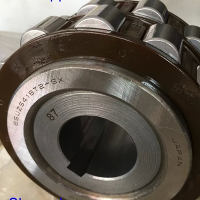 65UZS418T2X-SX-87 Cuscinetto cilindrico a rulli con busco 65UZS418 Cuscinetto eccentrico a gabbia di nylon
