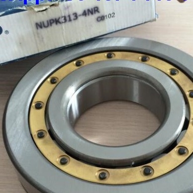 NUP313-4N Cuscinetti a rulli cilindrici NUPK313-4NRS02C3 Cuscinetto a rulli con anello di scatto