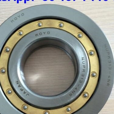 NUP313-4N Cuscinetti a rulli cilindrici NUPK313-4NRS02C3 Cuscinetto a rulli con anello di scatto