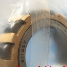 611 GSS (A-BE-NKZ27.5X47X14-2) Cuscinetto a rulli cilindrico eccentrico di 27,5 x 47 x 14 mm ISO